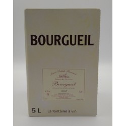 Domaine Lame Delisle Boucard Saint-Nicolas De Bourgeuil Rose Bib 5 Litres | french wine